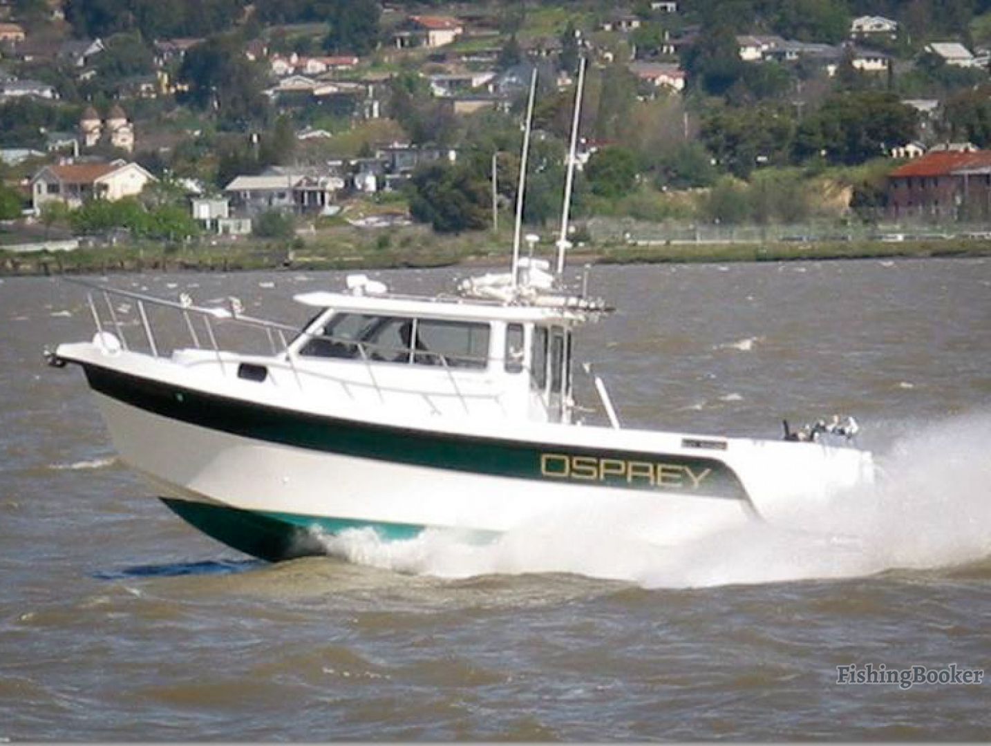 Osprey Fishing Charters SF Bay, Richmond, California