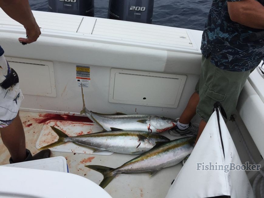 Top 10 fishing charters in Newport Beach, CA FishingBooker