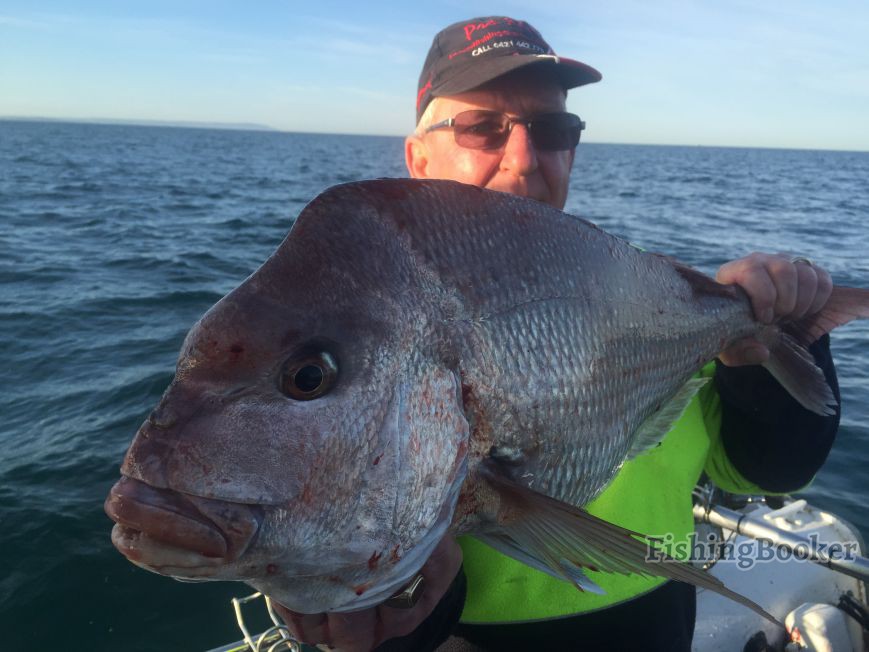 Top 10 fishing charters in Australia FishingBooker