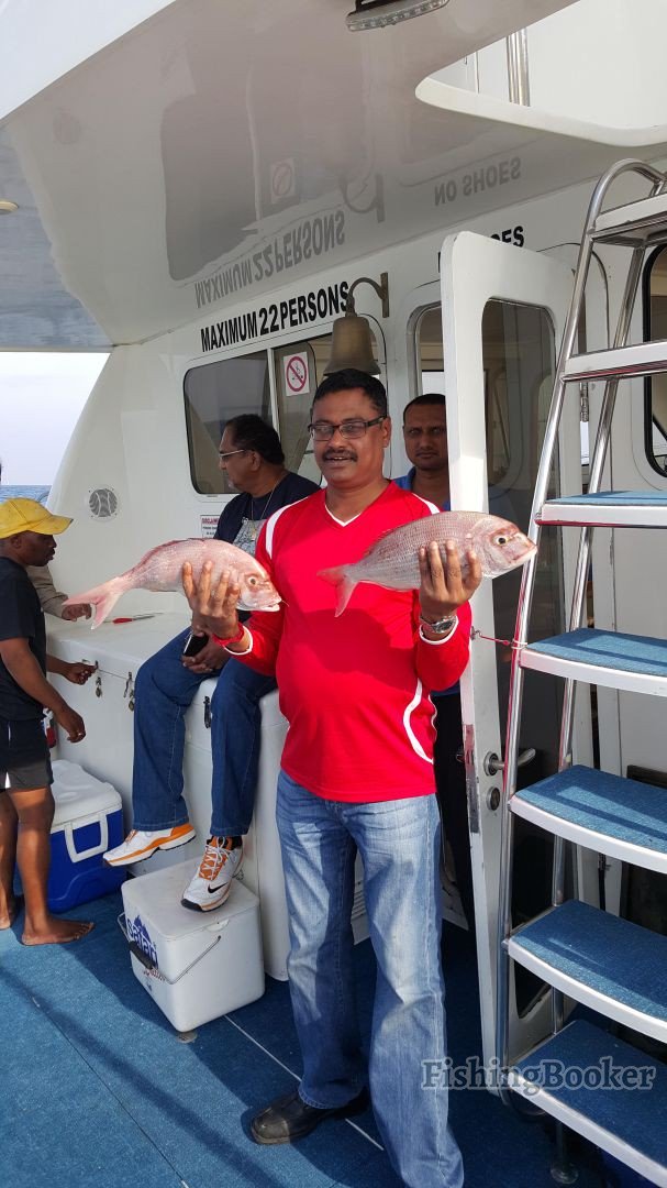 Durban Fishing Reports