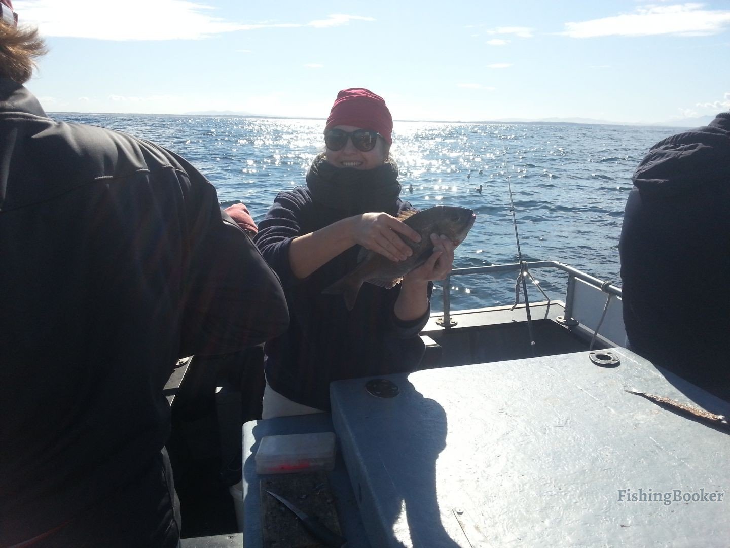 Top 10 fishing charters in Cape Town, South Africa - FishingBooker