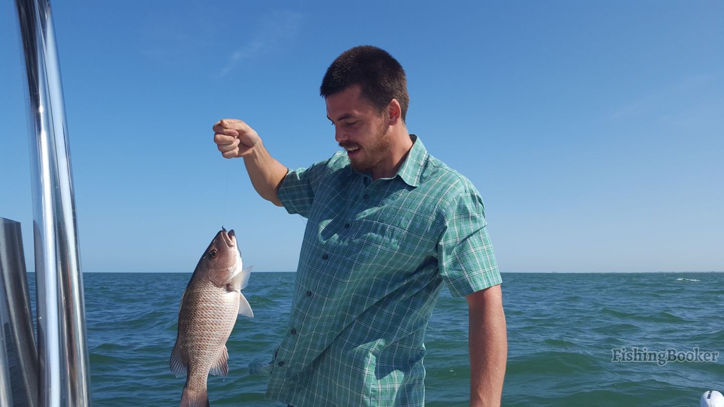 Tarpon Springs Fishing Reports