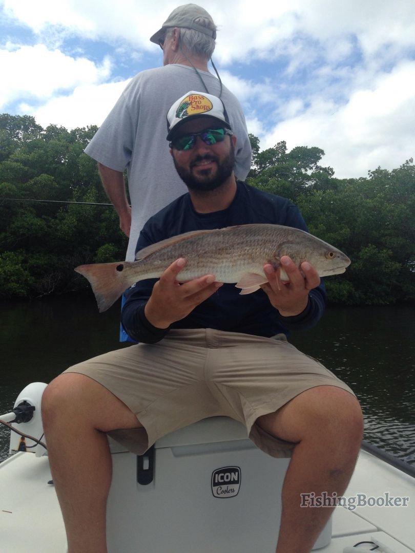 Pine Island Sound Florida Fishing Report Pine Island Sound Florida Fishing Report