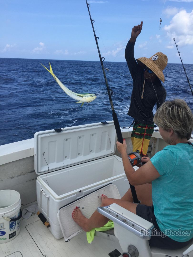 Teaser Charters 35’ Bertram, Oranjestad, Aruba
